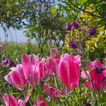 Апартаменты Ferienappartment Weisse Duene Норден